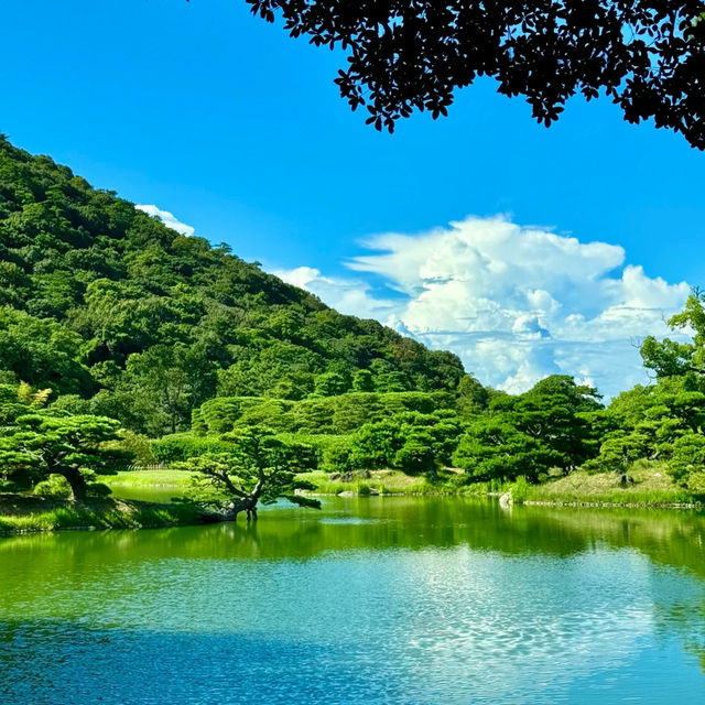 花田苑：鳥語花香的日本庭院夢🌸🐟