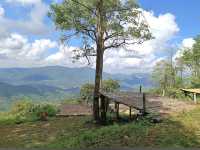 ลานกางเต็นท์ภูลังกา จ.พะเยา