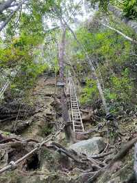 Conquering Mount Santubong: A Local Favorite Hiking Trail in Kuching