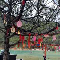 พาชม Blue moon valley หุบเขาพระจันทร์สีน้ำเงิน