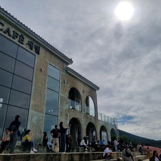 제주 새빌카페