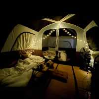 เต็นท์สุดหรูกลางไร่ชา ⛺️ 