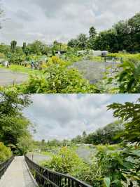 A Day at HortPark: Singapore’s Gardening Haven