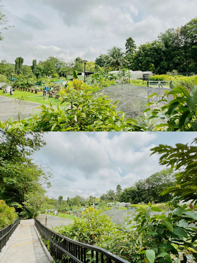 A Day at HortPark: Singapore’s Gardening Haven