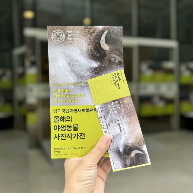 국내 최초 영국 국립자연사박물관 특별전