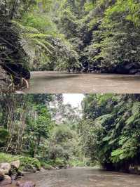 ayung dewata rafting