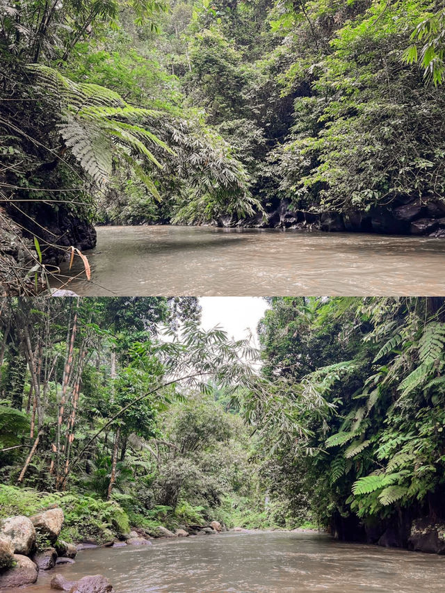 ayung dewata rafting