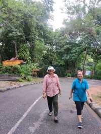 น้ำตกตาดโตน จ.ชัยภูมิ