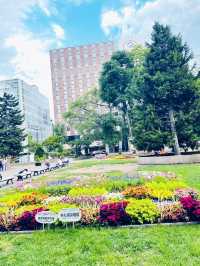 【北海道】札幌の人気観光スポット「大通公園」