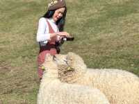 อาข่า ฟาร์มวิลล์ (Akha FarmVille)