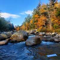 Autumn Bliss: White Mountain National Forest's Vibrant Splendor 