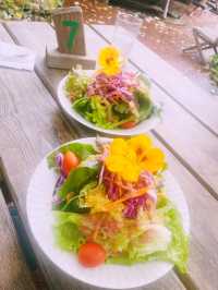 【長野県/原村　八ヶ岳の大自然を満喫！手作りハウスからオーガニック野菜まで楽しめる場所】