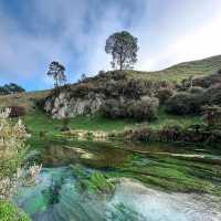 New Zealand Blue Spring