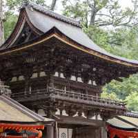 🌼穴八幡宮✨靜謐避風港⛩️🌿