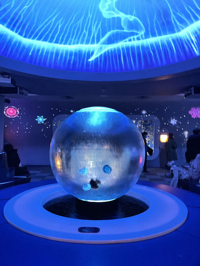 【神奈川|江ノ島】新江ノ島水族館