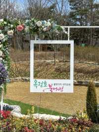 요즘 핫한 임실 여행지 ‘옥정호 출렁다리’