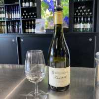  McGuigan Wines Cellar Door：亨特谷的葡萄酒體驗 🍷🌿