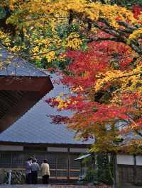 【ここ行って】本当は教えたくない🙅カメラ好きは一度は行きたい紅葉🍁