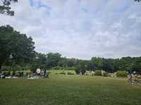 新界最值得參觀的海濱公園