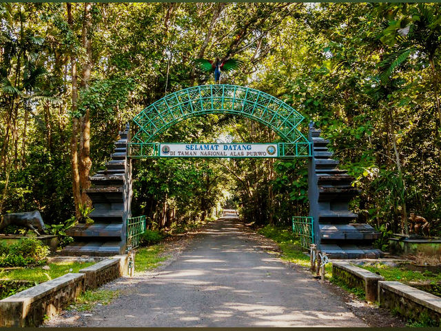 Alas Purwo National Park