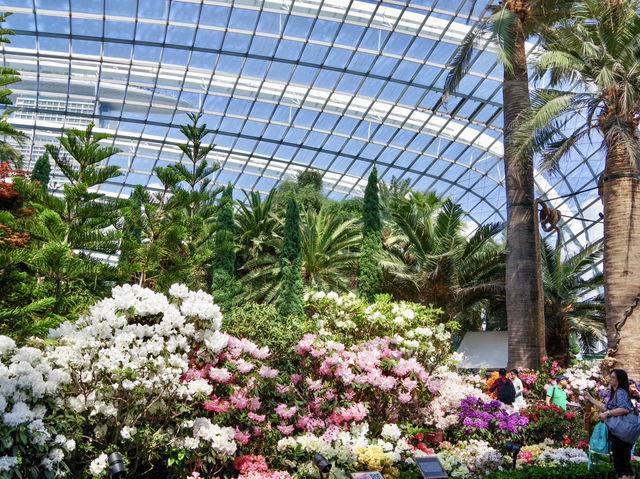 【シンガポール】緑と花のアミューズメント💐