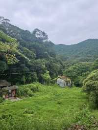 香港行山 – 蝴蝶飛舞+流水響聲 – 流水響和鶴藪水塘