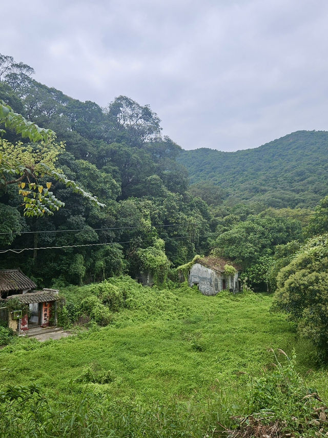 香港行山 – 蝴蝶飛舞+流水響聲 – 流水響和鶴藪水塘