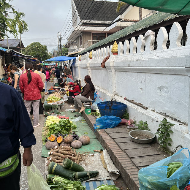สะบายดี หลวงพระบาง🇱🇦
