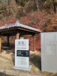 가을에 꼭 가봐야할 안동의 대표적인 문화유산🤎