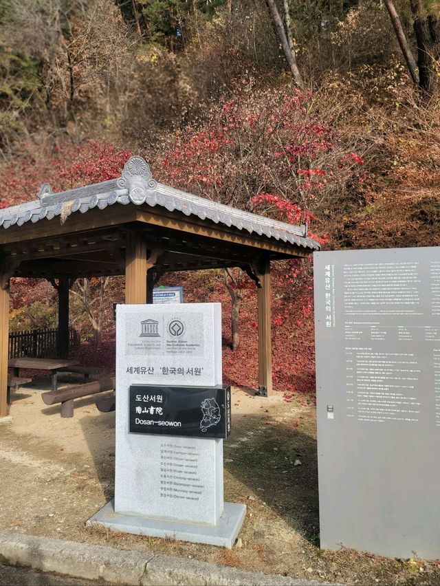 가을에 꼭 가봐야할 안동의 대표적인 문화유산🤎