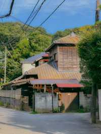 일본 가마쿠라🇯🇵 산책하기 좋은 가마쿠라🩵