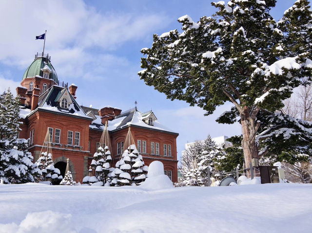 【北海道・札幌】雪を纏う冬景色❄️