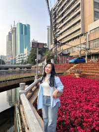 ทริปคุนหมิง-ลี่เจียง 5วัน4คืน เดือนตุลาคม 2024