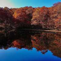 【福井】福井のおすすめ紅葉スポット！