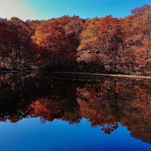 【福井】福井のおすすめ紅葉スポット！