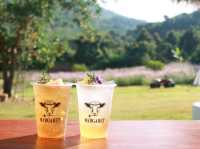 เที่ยวชมทุ่งคอสมอสที่ Margaret Private Villa 