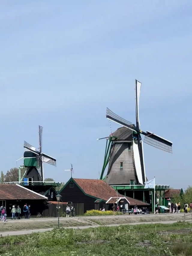 Weekend Getaway: From Amsterdam to Zaandam – A Storybook Escape