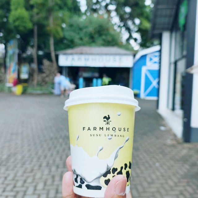 Bandung is Awesome 