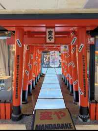 鳥居の先はアンティークTOYが並ぶ近未来空間🫣🪐💞【東京・中野】