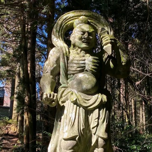 ชมความงามของวัดFutagoji และธรรมชาติ✨️