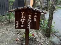 【熊本】自然に囲まれた宿でゆっくり過ごす
