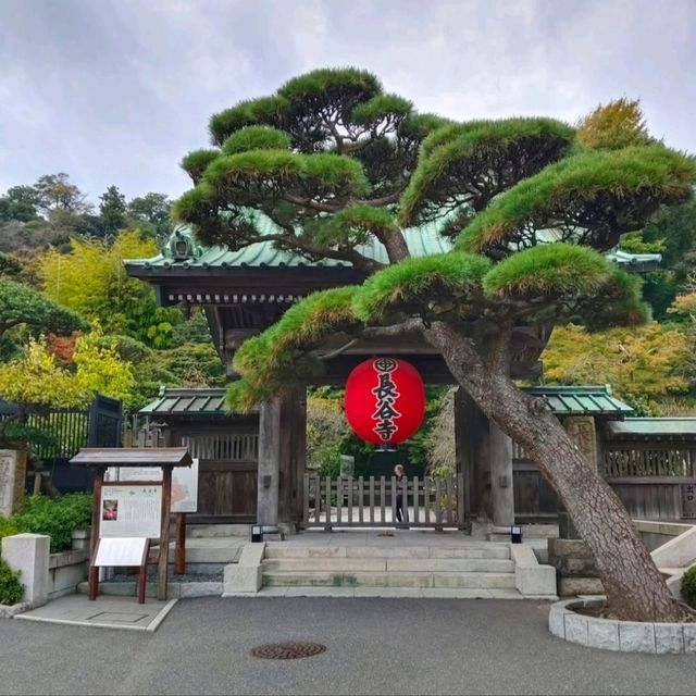 鎌倉的一天