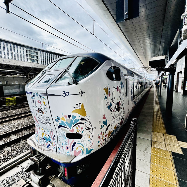 Attractions to visit in Kyoto