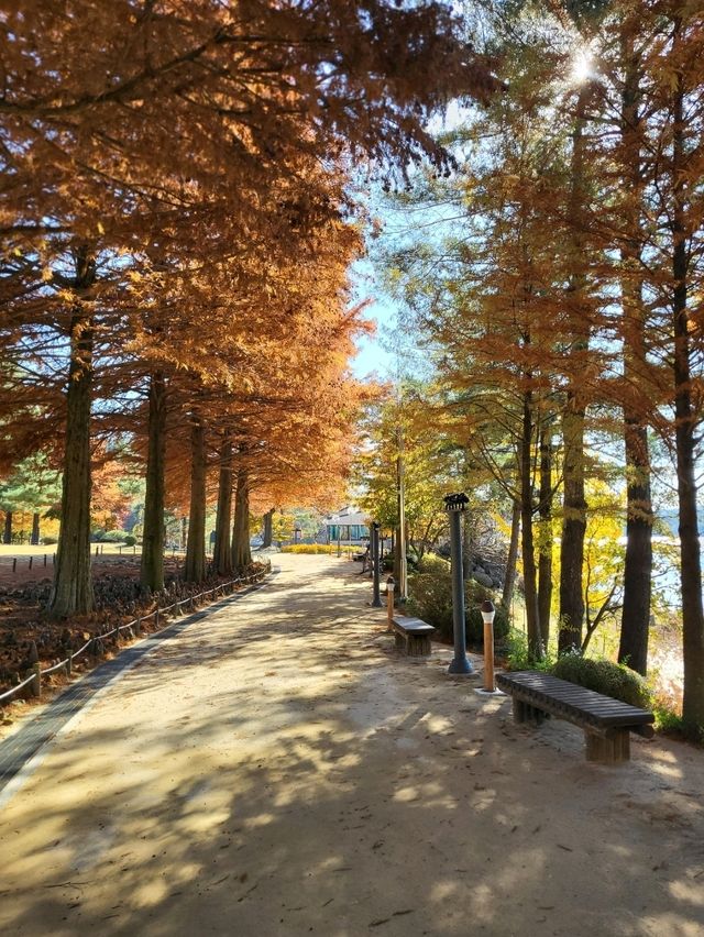 늦가을 만끽하기 좋았던 청주여행