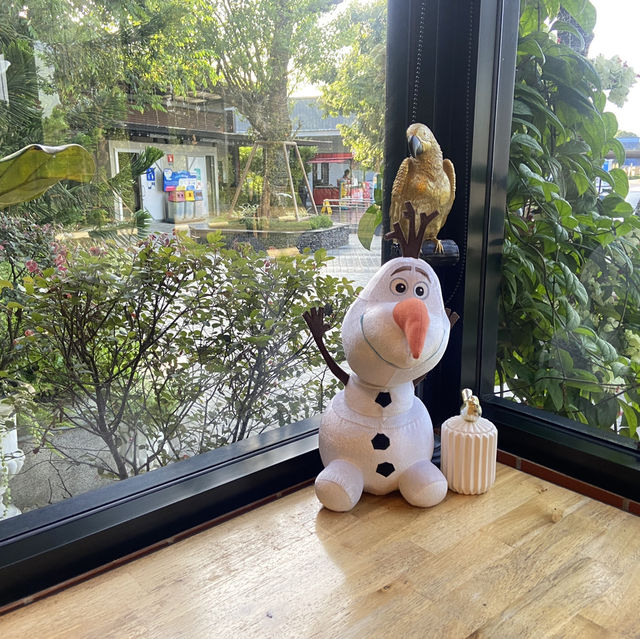 🎄คาเฟ่อเมซอน ปตท.หนองอ้อ อ.มะขาม จันทบุรี 