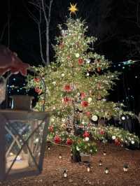 【軽井沢】キャンドルランタンの世界へ🕯おすすめクリスマスイルミネーション