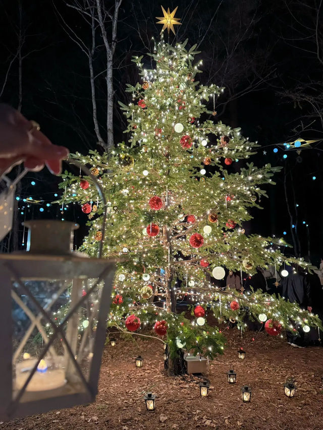 【軽井沢】キャンドルランタンの世界へ🕯おすすめクリスマスイルミネーション