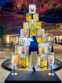 大阪 ❤︎ クリスマスに行きたいイルミネーション🌟 無料で遊べる光空間 ✨