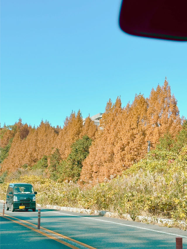 후지산이 보이는 아름다운 일본 시골 마을🇯🇵