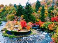 青森🇯🇵中野紅葉山